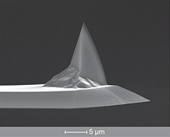 MESP,磁性针尖,Co-Cr,2.8N/M,Nanoworld