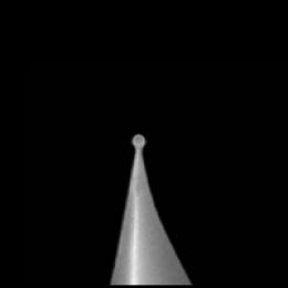 SICON-B,小球针尖,球径20-150nm,Al/None,0.33N/M,Appnano