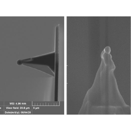 定制亚微米胶体探针——用于原子力显微镜（请联系客服QQ962078833）