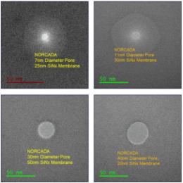 氮化硅窗口Nanopore系列（纳米孔），外框5*5mm,窗口0.01*0.01mm,孔径30-90nm,膜厚20nm,Norcada