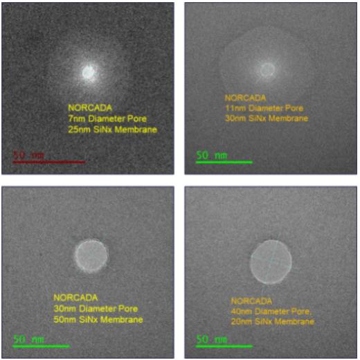 氮化硅窗口Nanopore系列（纳米孔），外框5*5mm,窗口0.01*0.01mm,孔径600nm,膜厚20nm,Norcada