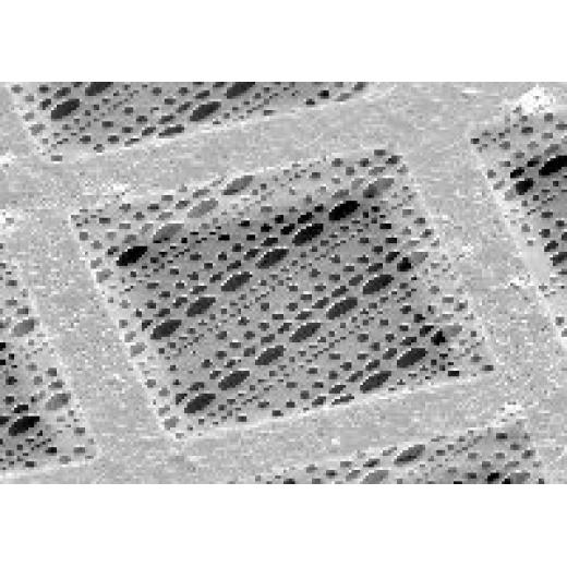 QUANTIFOIL Multi A复合孔,200-400目金网多孔碳膜
