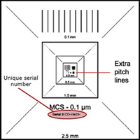 EM-Tec MCS-0.1CF 认证放大校准标样2.5mm-100nm
