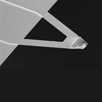 VScan-Air,氮化硅针尖三角形悬臂,0.292N/M,Al,Appnano