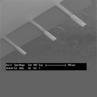 qp-fast类石英生物针尖,Nanosensors
