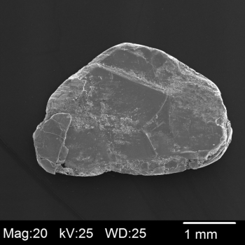 二硒化钼 （MoSe2）,单晶, 10mm2,SPI